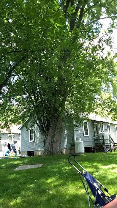 Charlies Lakeside Colony Picture 9