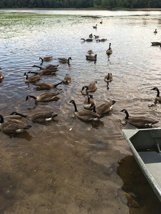 Charlies Lakeside Colony Picture 7