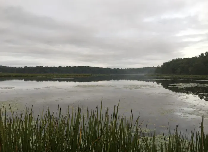 Morningside Park Campground Picture 6