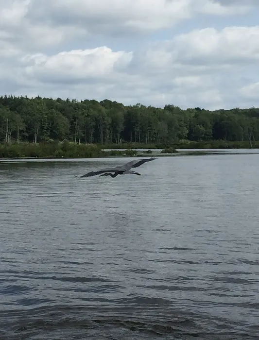 Morningside Park Campground Picture 5