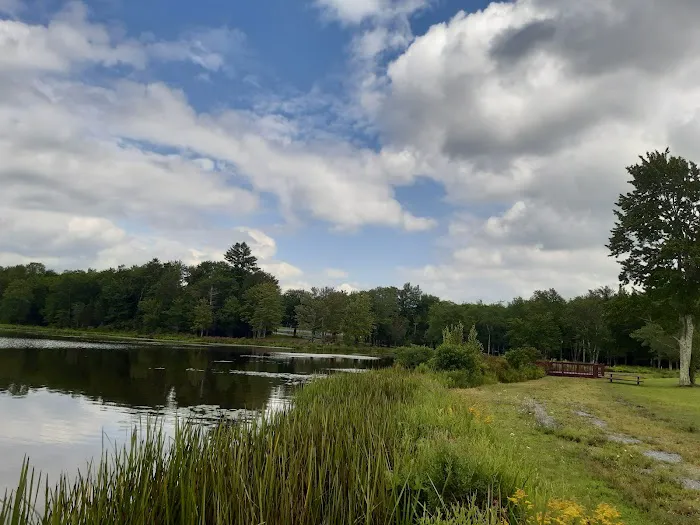 Morningside Park Campground Picture 2