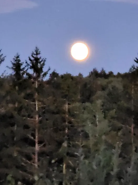 Eretz HaChaim Czernowitz Picture 1