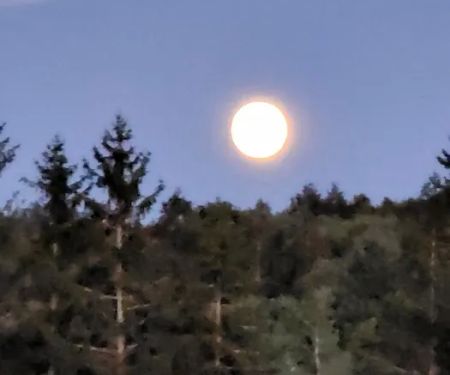 Eretz HaChaim Czernowitz