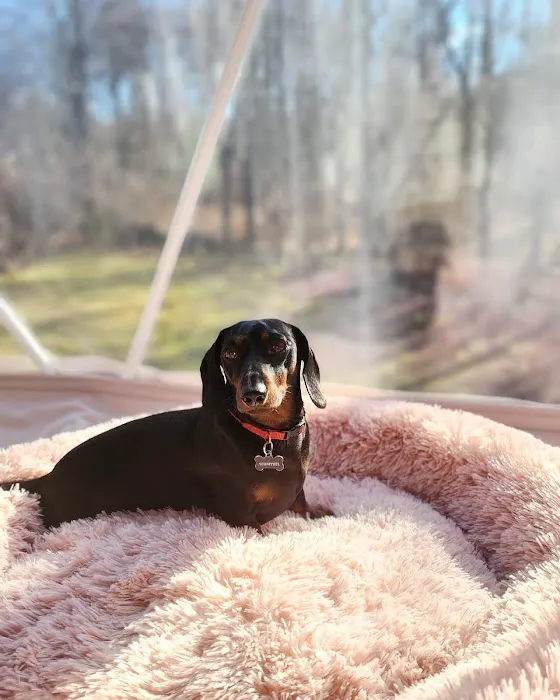 Unique Escapes Picture 9