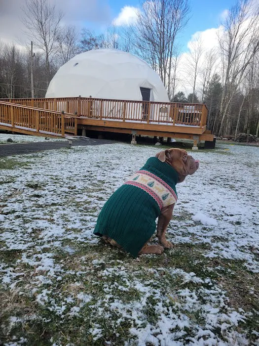 Unique Escapes Picture 6