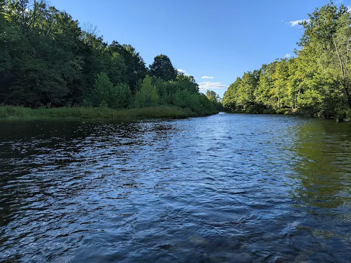 Neversink River Campgrounds Picture 2
