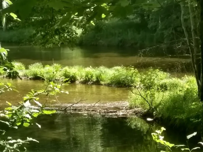 Neversink River Campgrounds Picture 8
