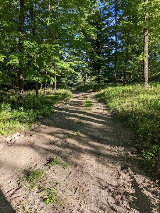 Neversink River Campgrounds Picture 4