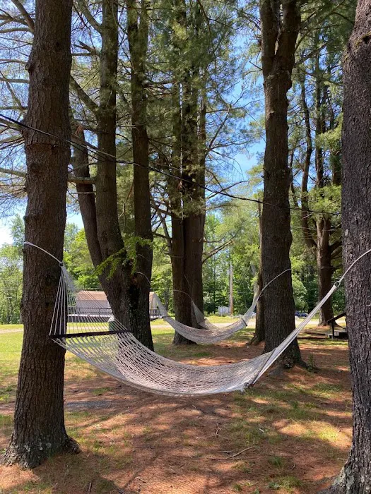 Swan lake Campground Picture 6