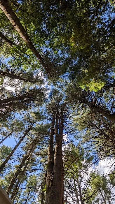 The Rabbit Hole Bethel AKA Tentrr Catskill Retreat Picture 6