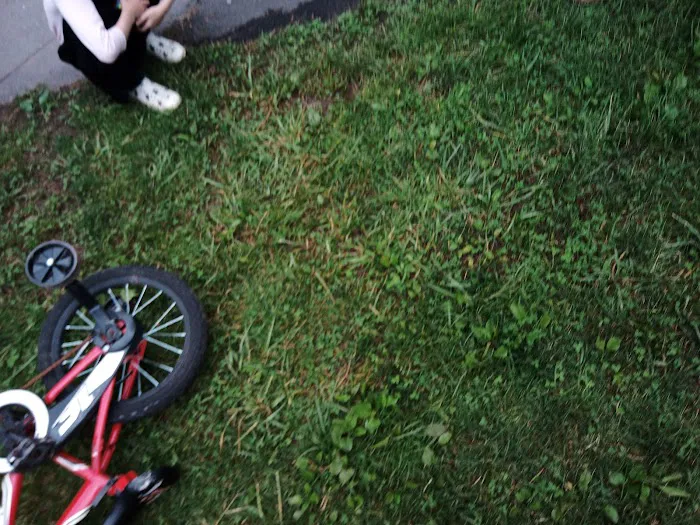 Appels Bungalow Colony Picture 1