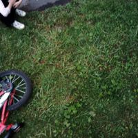 Appels Bungalow Colony ico