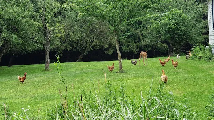 Empire Campgrounds - A Pictures is Worth a Thousand Words Picture 4