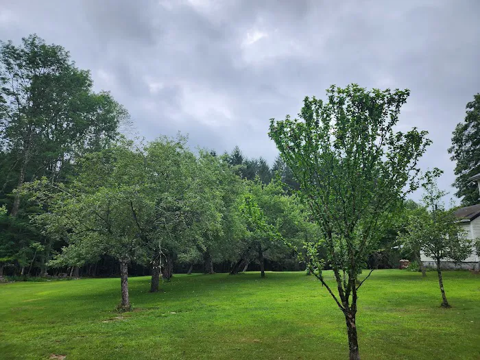 Empire Campgrounds - A Pictures is Worth a Thousand Words Picture 8