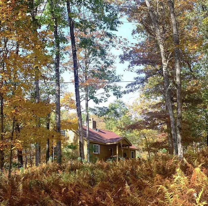 Sylvania Tree Farm Picture 3