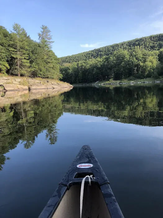 Sylvania Tree Farm Picture 4