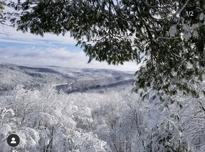 Sylvania Tree Farm Picture 6