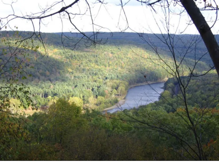 Sylvania Tree Farm Picture 7