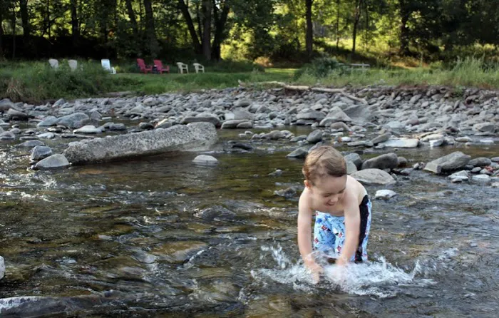 Sylvania Tree Farm Picture 9