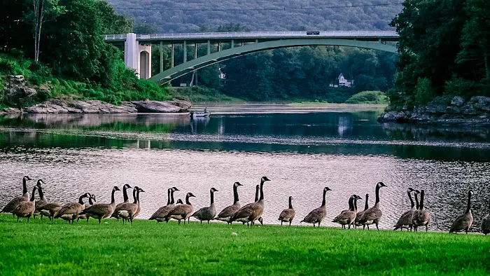 Narrowsburg Campground (Lander's River Trips) Picture 6
