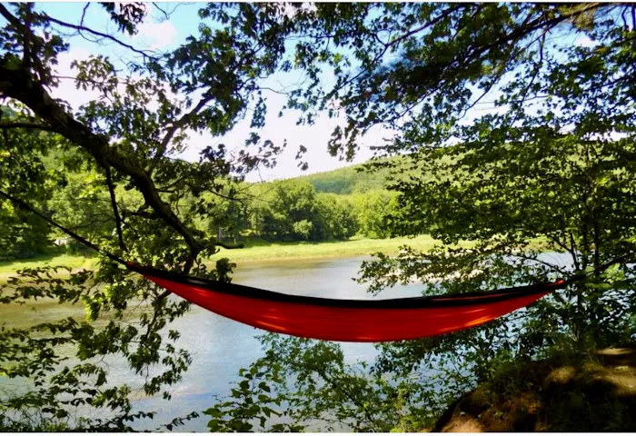 Narrowsburg Campground (Lander's River Trips) Picture 7