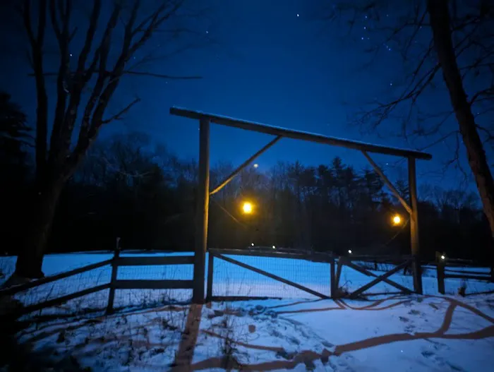 Kamp - Squid Picture 8