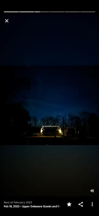 Kamp - Squid Picture 3