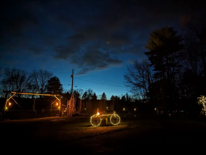 Kamp - Squid Picture 2