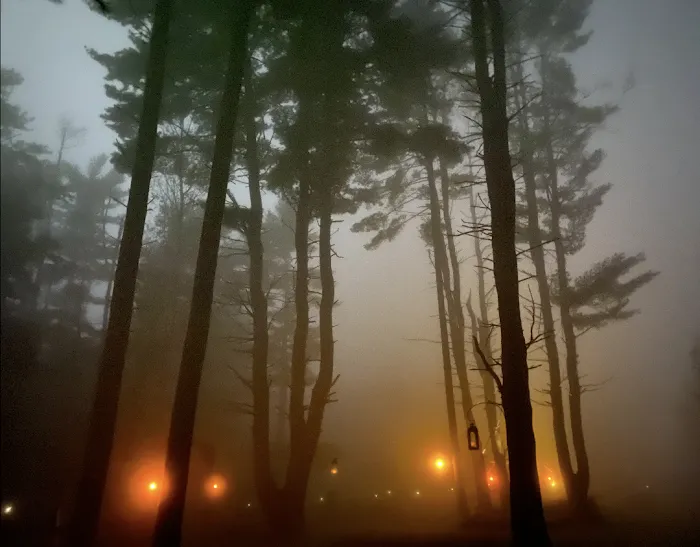 Kamp - Squid Picture 9