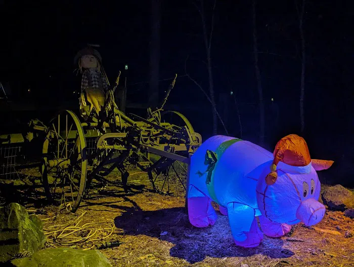 Kamp - Squid Picture 6