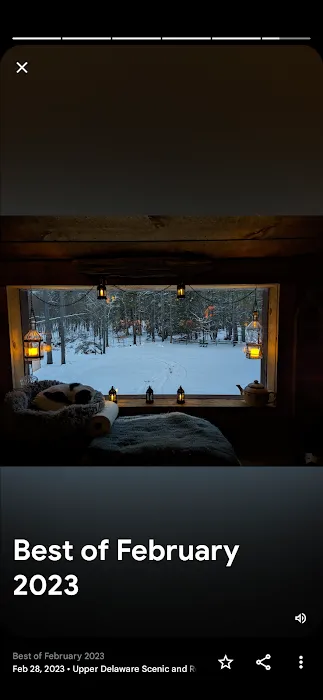 Kamp - Squid Picture 7