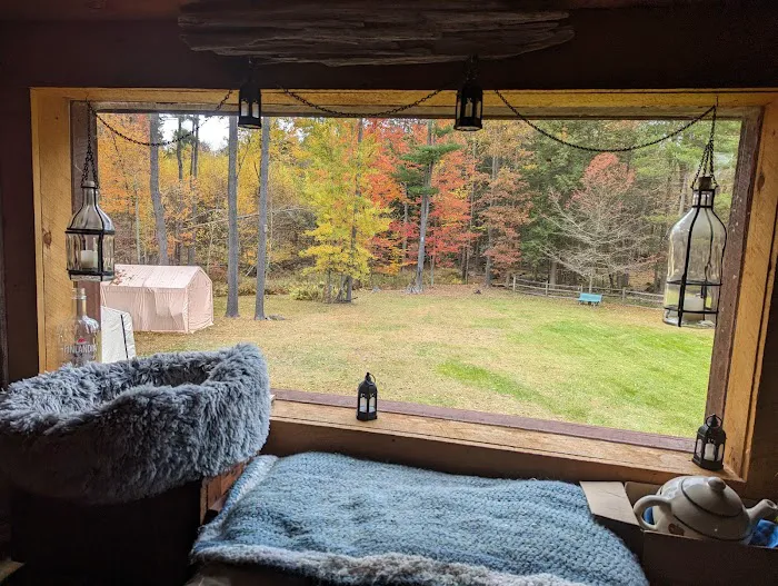 Kamp - Squid Picture 1