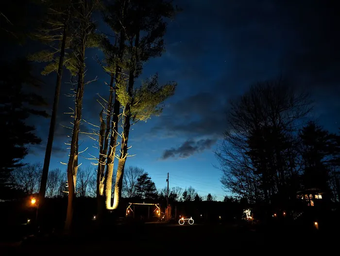 Kamp - Squid Picture 5