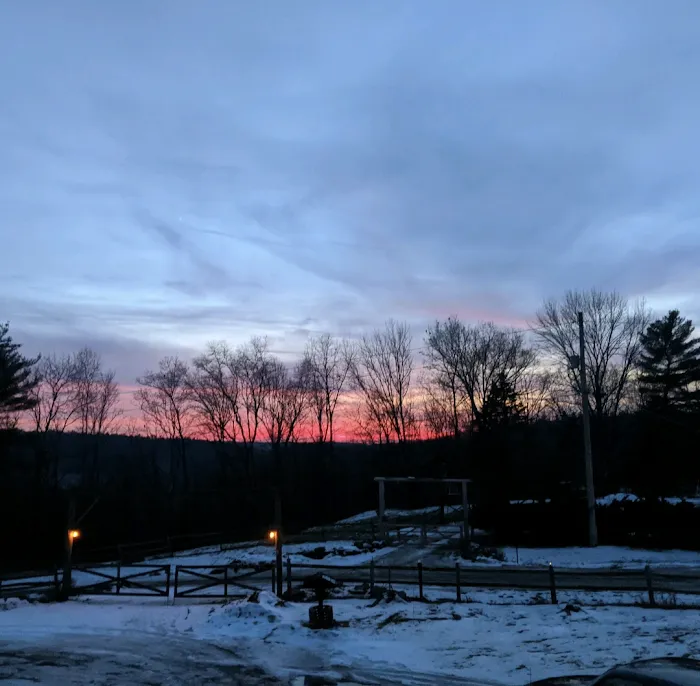 Kamp - Squid Picture 10