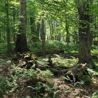 Happy Days Campground ico