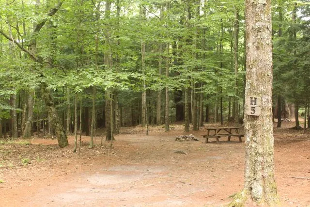 Happy Days Campground Picture 7