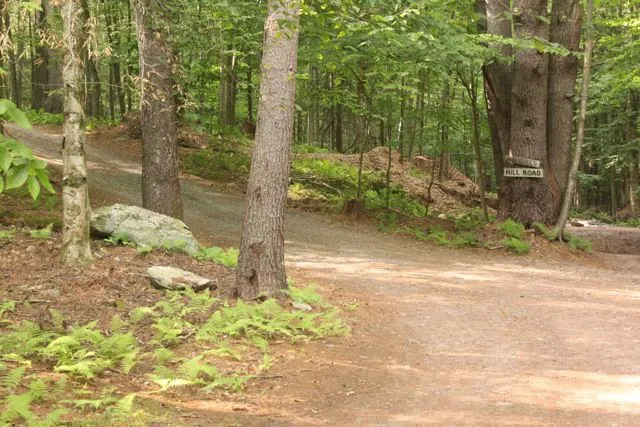 Happy Days Campground Picture 5