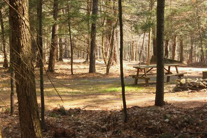 Happy Days Campground Picture 6