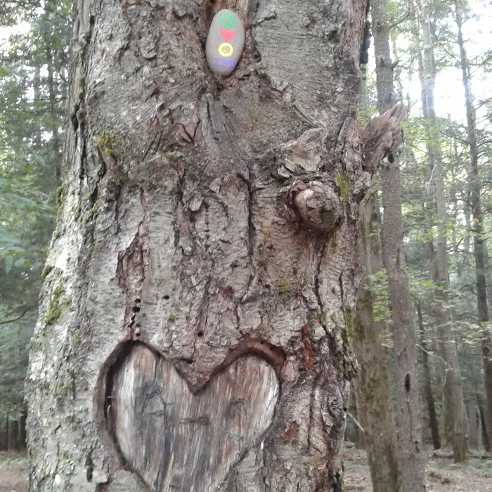 Happy Days Campground Picture 4