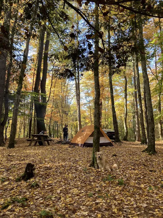 Happy Days Campground Picture 8