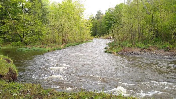 Thousand Trails Rondout Valley Picture 1