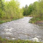 Thousand Trails Rondout Valley