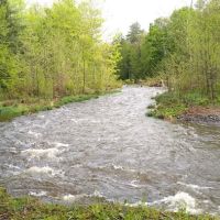 Thousand Trails Rondout Valley ico