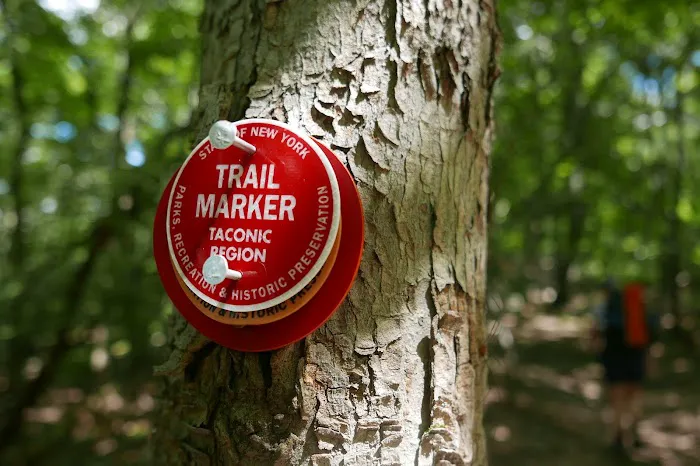 Malouf's Mountain Campground Picture 7