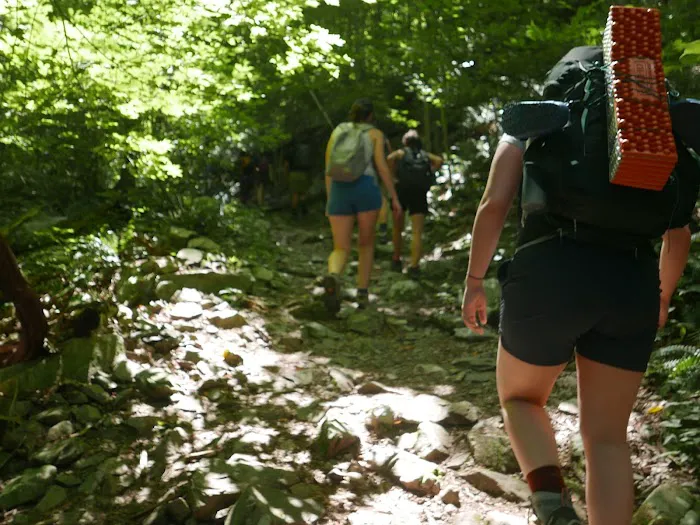 Malouf's Mountain Campground Picture 2