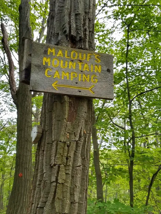 Malouf's Mountain Campground Picture 3
