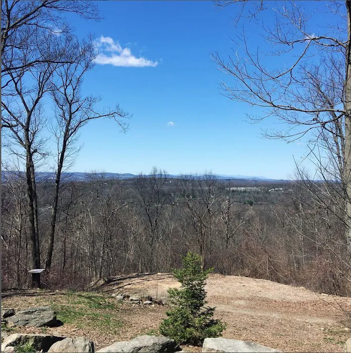 Malouf's Mountain Campground Picture 10