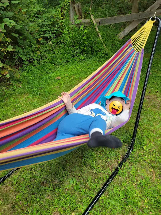 CreekView Campsites Picture 7