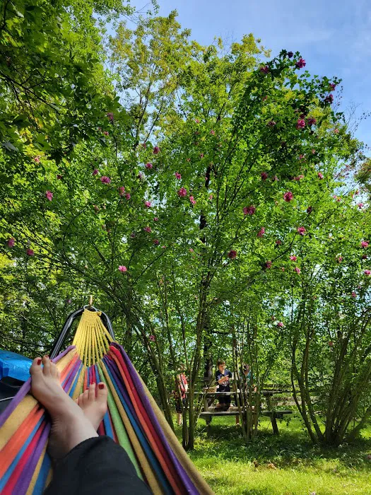 CreekView Campsites Picture 9