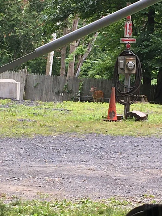 CreekView Campsites Picture 1